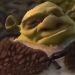 Profile Picture of Elijah Swann (@elijah.swann) on Instagram