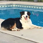 Profile Picture of Janice Dunham-Mackenzie (@dunhammackenzie) on Instagram