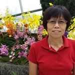 Profile Picture of Janet Phang (@xxjanetphangxx) on Instagram