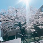 Profile Picture of Matthew (@matthew_saito.3261) on Instagram