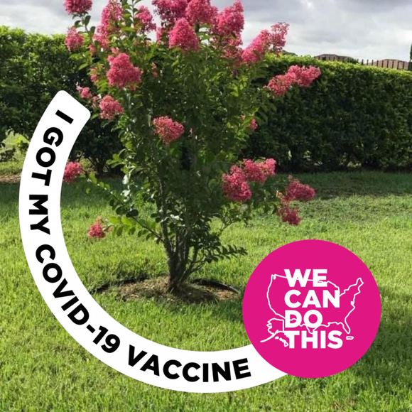 Profile Picture of Vickie Altadonna (@vickie812) on Poshmark