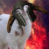 Profile Picture of Whitney Dobson (@@thegoatnee) on Tiktok