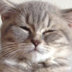 Profile Picture of Dale Addison (@daleaddison) on Instagram