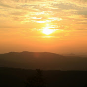 Profile Picture of Edward Adams (@edwardadams8354) on Youtube