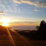 Profile Picture of Anita Pfeifer (@pfeifer4268) on Instagram