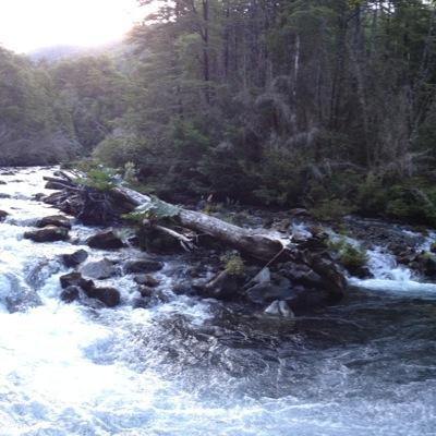 Profile Picture of Amanda Alvarez (@AlvarezMandy30) on Twitter