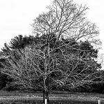 Profile Picture of Patrick Hampton (@patrickdavishampton) on Flickr