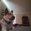 Profile Picture of Kim Page (@@kimpage63) on Tiktok