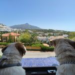 Profile Picture of Jon (@jon_sobell) on Instagram