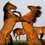 Profile Picture of Nancy Bradley (@Nancytbradley1) on Youtube