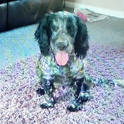 Profile Picture of Christopher Stanley (@christopherstanley5389) on Youtube