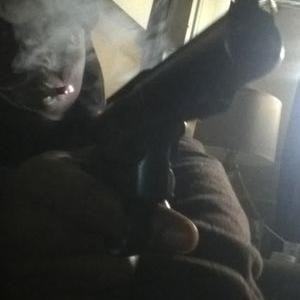 Profile Picture of Adrian Harrell (@Adrianh2806) on Twitter