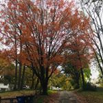 Profile Picture of Brian Limon (@brian_limon2.0) on Instagram