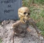 Profile Picture of Gordon Jaylah (@gabby.lewis.1671) on Facebook