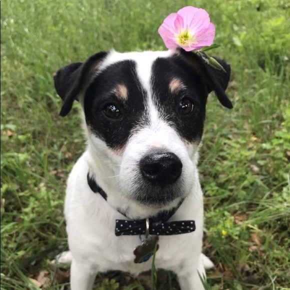 Profile Picture of Hannah Kolb (@hakovoid) on Poshmark