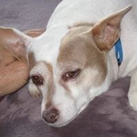Profile Picture of Marilyn Ritter (@marilyn-ritter-2) on Quora