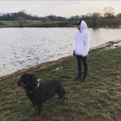 Profile Picture of Ben Hamlet (@ben_hamlet) on Twitter
