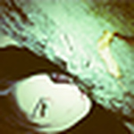 Profile Picture of Agustina Spaltro (@creating light) on Flickr