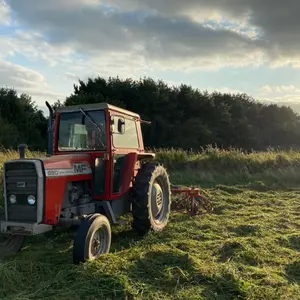 Profile Picture of Mathew (@mathewcolborne1) on Tiktok