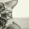 Profile Picture of BobbieW (@bobbiew) on Tiktok