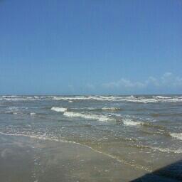 Profile Picture of Debra Holcomb (@63c0e443d4d6416) on Twitter