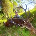 Profile Picture of Qbh Safaris Glenn Carlson (@glenn.carlson.1865) on Facebook
