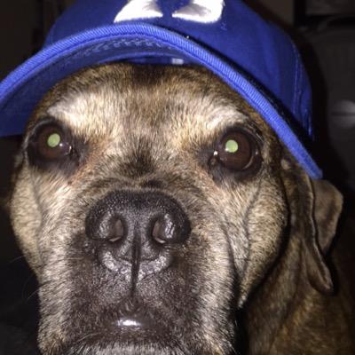 Profile Picture of Carly May Christman (@cchrstmn) on Twitter