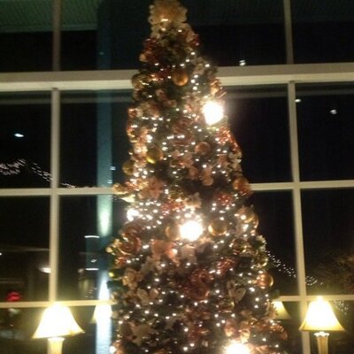 Profile Picture of Mohammed Alamin (@alamin_alamin36) on Twitter