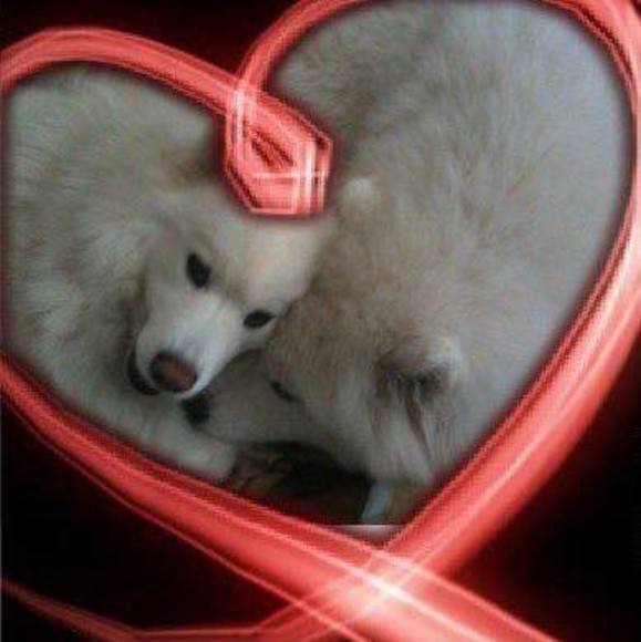 Profile Picture of Kristen Stracner (@robandkrissy) on Poshmark