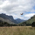 Profile Picture of Lisa Probert (@lisa.probert.792) on Instagram