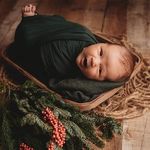 Profile Picture of Nancy Staley (@fancynancyphoto) on Instagram