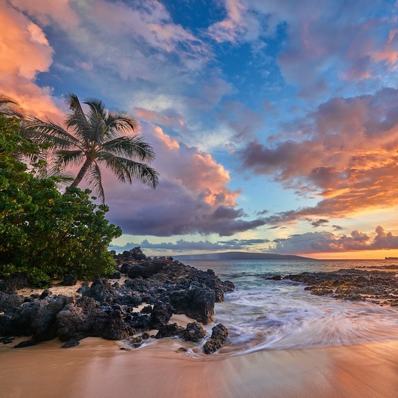 Profile Picture of Steve Rotert (@steverotert79) on Poshmark