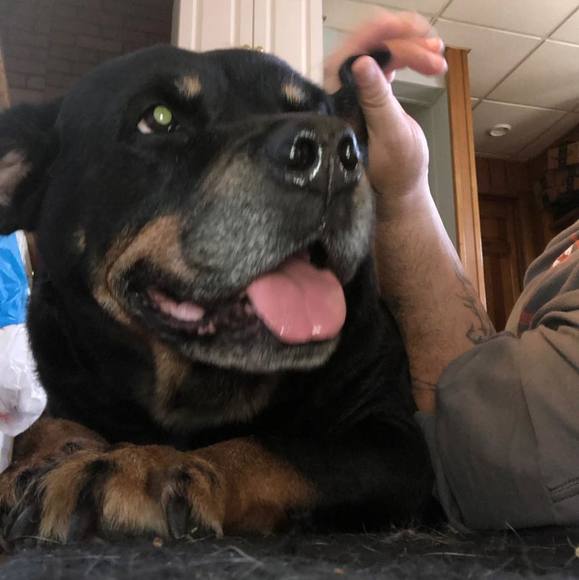 Profile Picture of Dave Graham (@davegraham) on Poshmark