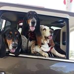 Profile Picture of Donna Keeler Stoll (@billy.d.stoll) on Instagram