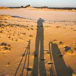 Profile Picture of Mark Van Essen (@MvE_Photography) on Twitter