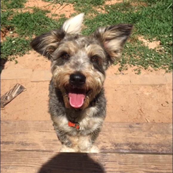 Profile Picture of Chynna Davis (@barngirlusa) on Poshmark