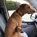 Profile Picture of Sylvia Bridge (@sylvia.bridge.397) on Facebook