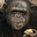 Profile Picture of Petter L. Danielsen (@petter.l.danielsen) on Facebook