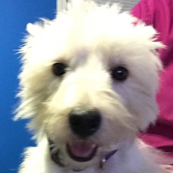 Profile Picture of Terri Kessenger (@tkessenger) on Poshmark