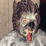 Profile Picture of Nicholas Ring (@nicholas_robertson12234) on Instagram
