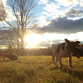 Profile Picture of Autumn Reynolds (@ansellove) on Pinterest