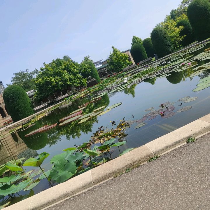 Profile Picture of Kevins_kluge_Ideen (@kevins_kluge_idee) on Tiktok