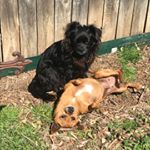 Profile Picture of Jared Dyer (@dyer8150) on Instagram