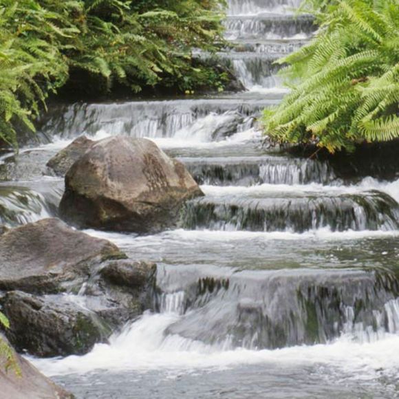 Profile Picture of Wanda Wimbush (@seeyourfuture) on Poshmark