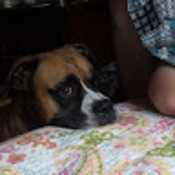 Profile Picture of Jade Cox (@jadecox738) on Poshmark