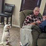 Profile Picture of Jerry Gibson (@gibson951) on Instagram