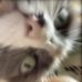 Profile Picture of Stuart Andrews (@stuart.andrews.3766) on Facebook