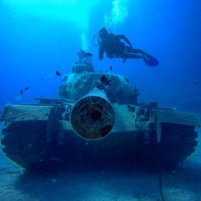 Profile Picture of Bilinç Bozgeyik (@Bilinc_B) on Twitter