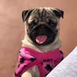 Profile Picture of Paula Peralta (@paula.peralta.777) on Instagram