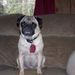 Profile Picture of Brenda Hawkes (@brendajhawkes) on Pinterest